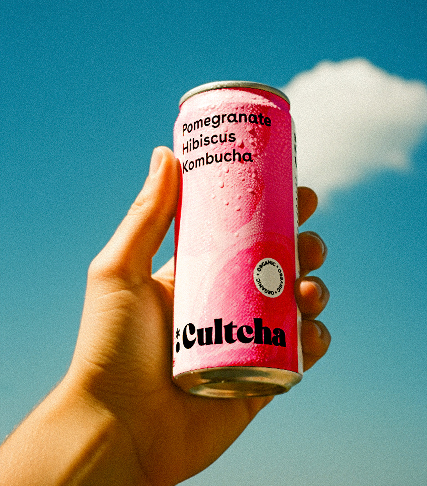 Cultcha case 11.1