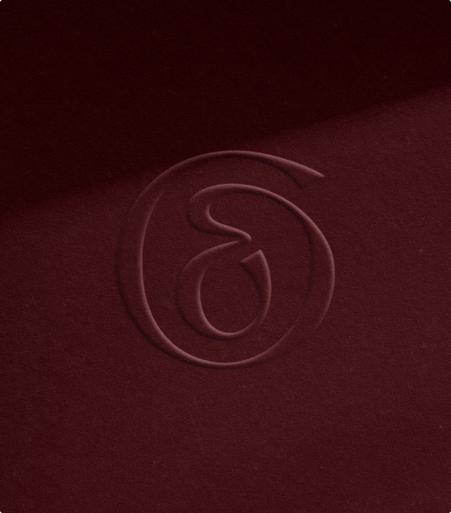 casa-eclaire-icon-emboss
