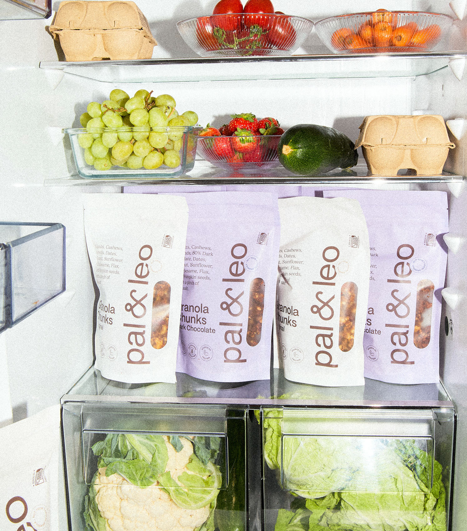pal-and-leo-fridge