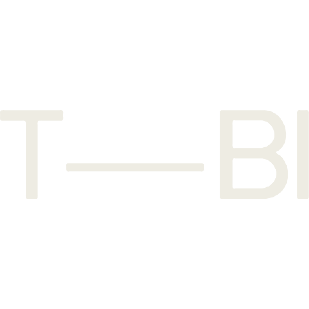 the-brand-identity-logo